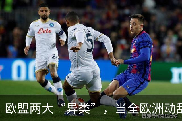 欧盟两大“异类”，当全欧洲动乱时，靠中国走上“捷径”躲过一劫